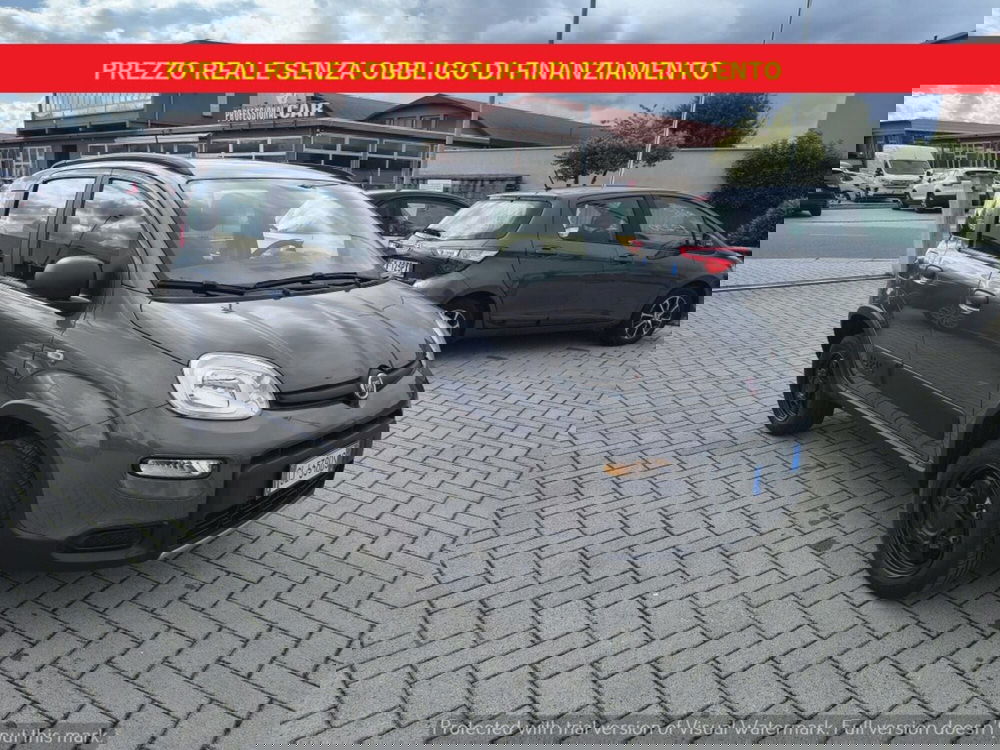 Fiat Panda usata a Firenze (3)