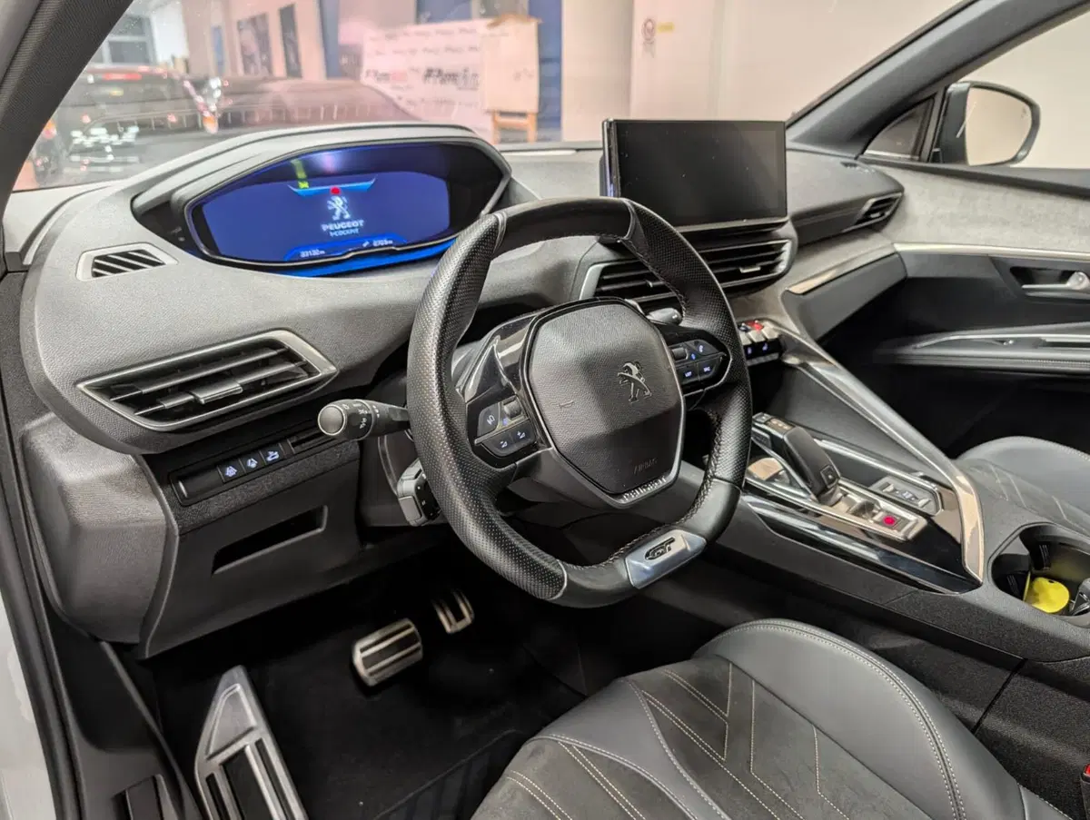 Peugeot 3008 usata a Teramo (11)