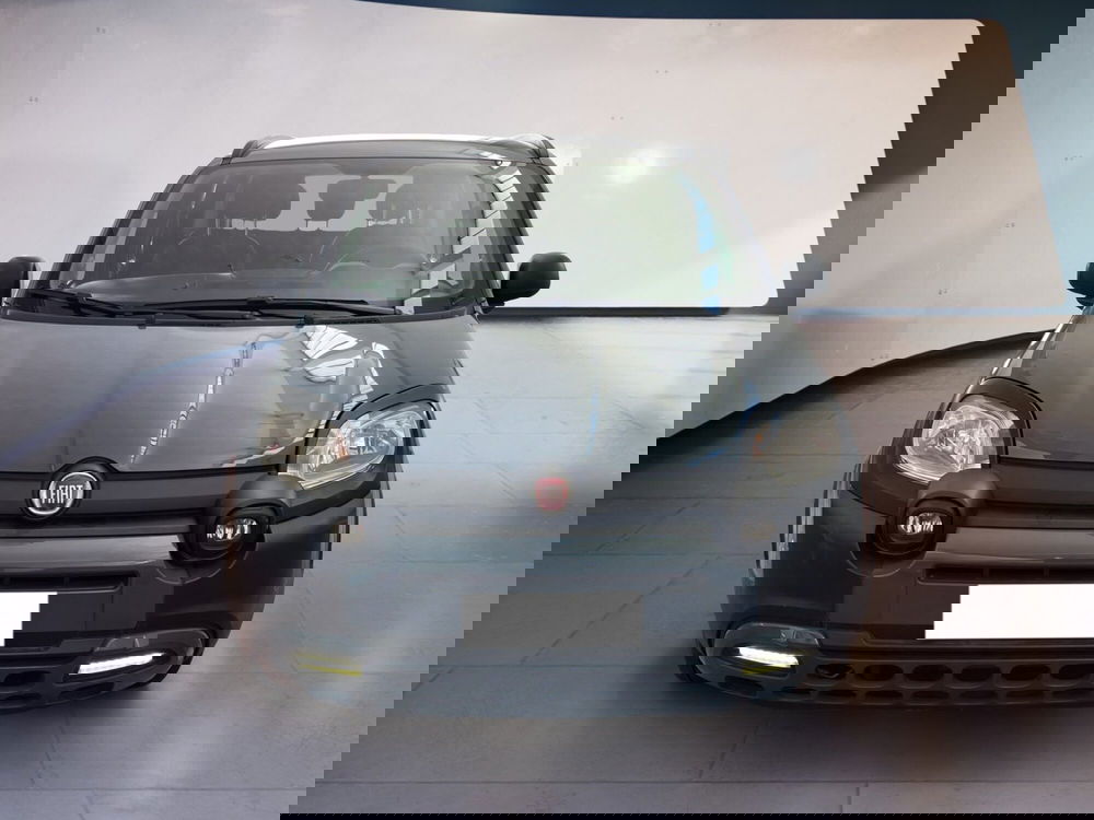 Fiat Panda Cross usata a Torino