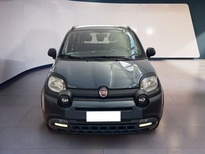 Fiat Panda Cross Cross 1.0 FireFly S&amp;S Hybrid del 2021 usata a Torino