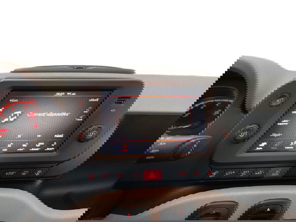 Fiat Panda Cross usata a Torino (12)