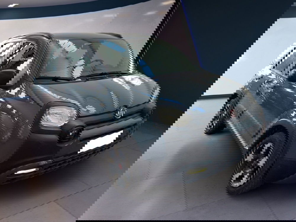 Fiat Panda Cross usata a Torino (2)