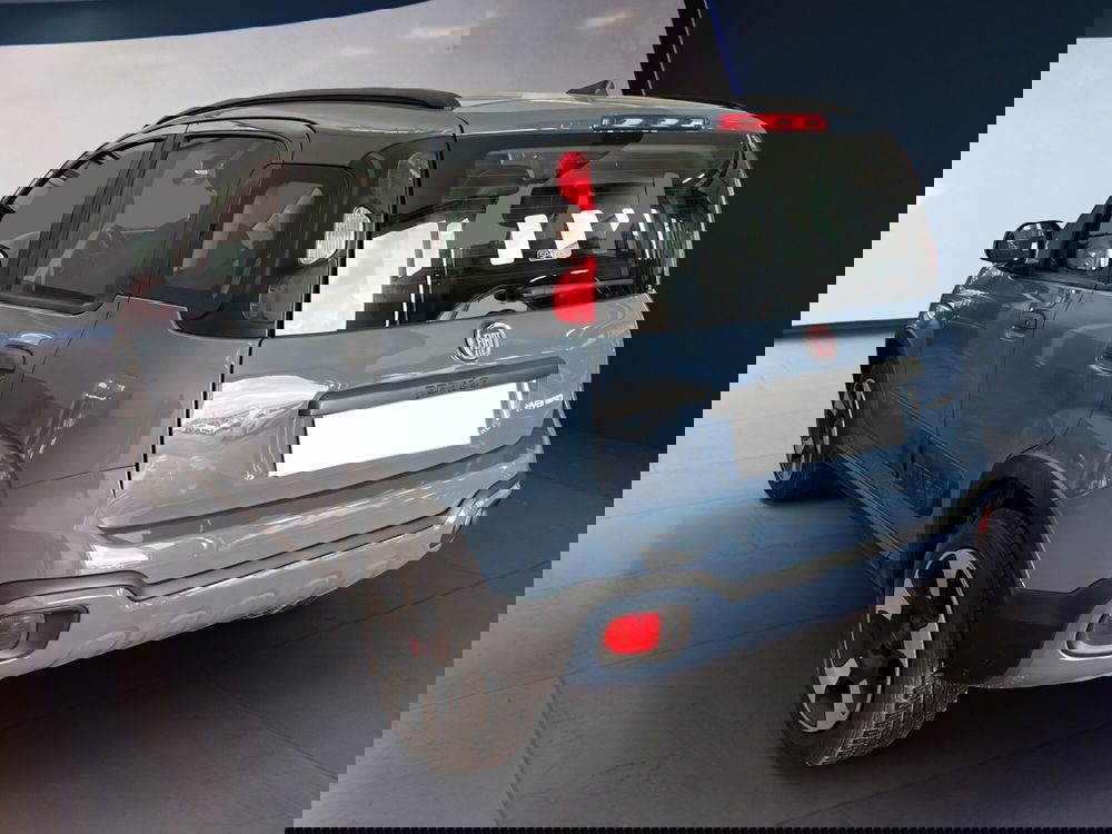 Fiat Panda Cross usata a Torino (4)