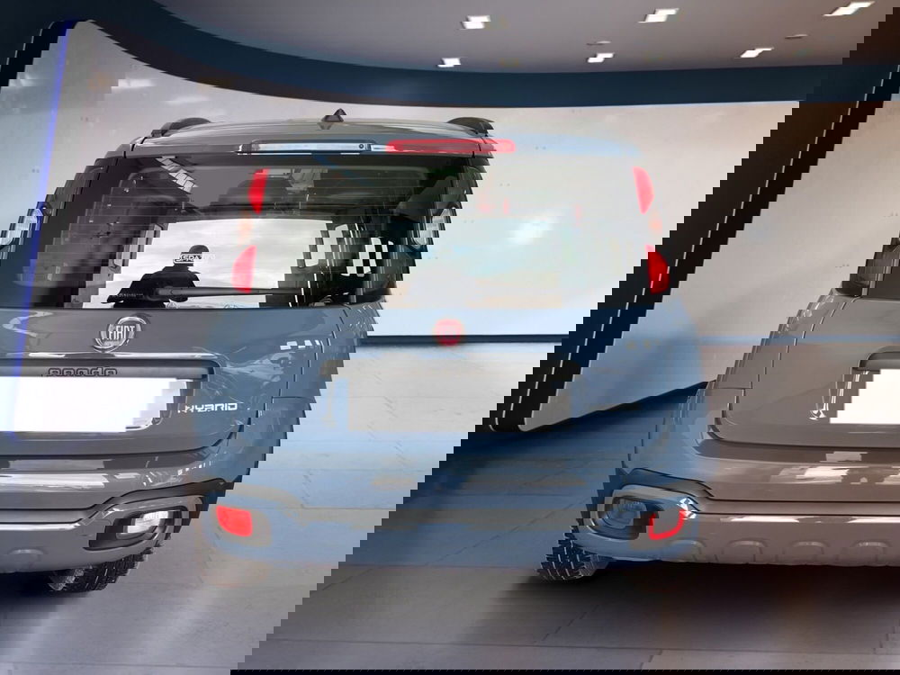 Fiat Panda Cross usata a Torino (5)