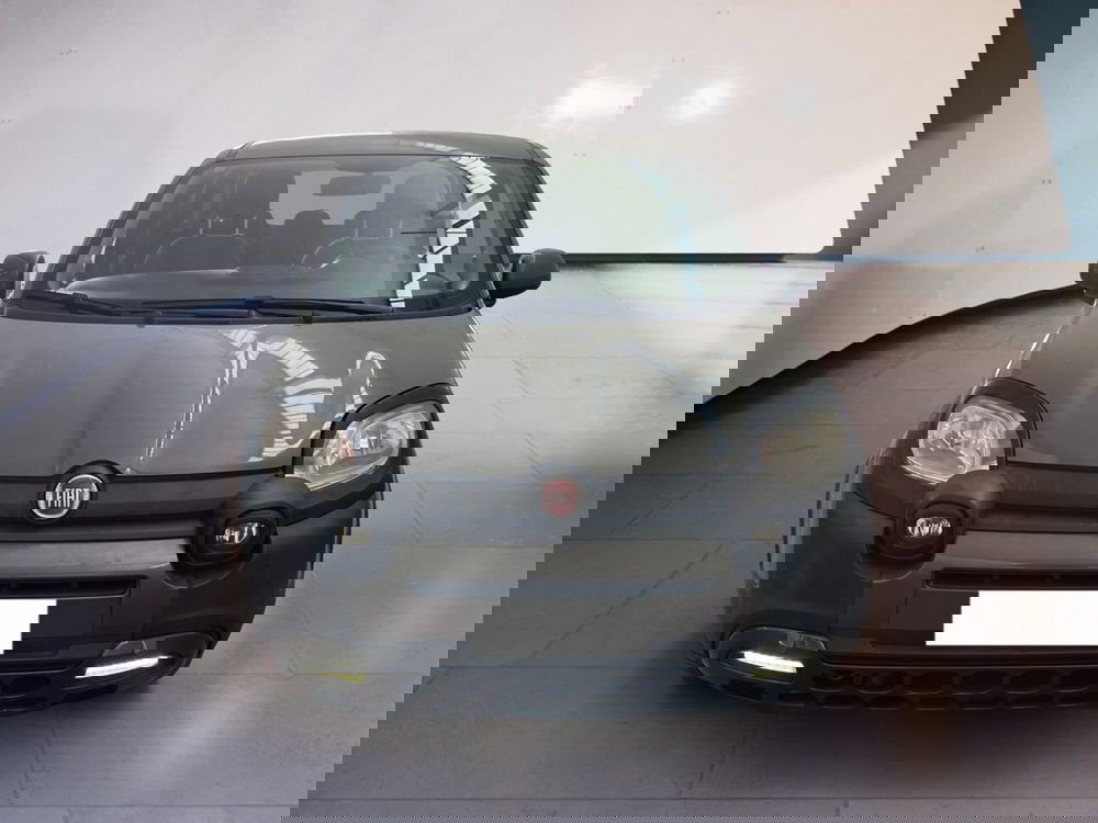 Fiat Panda usata a Torino