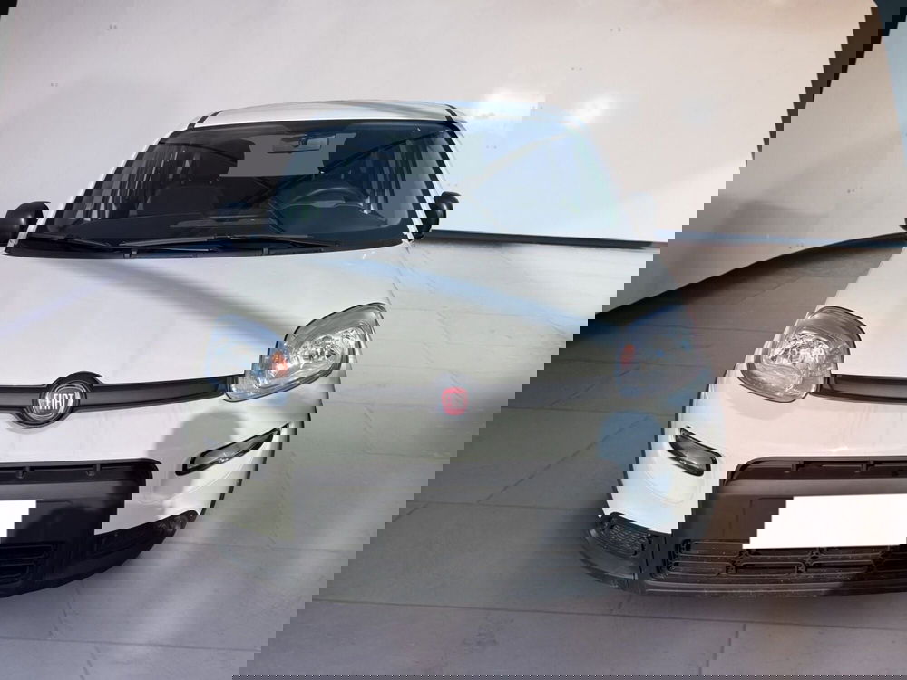 Fiat Panda Cross usata a Torino