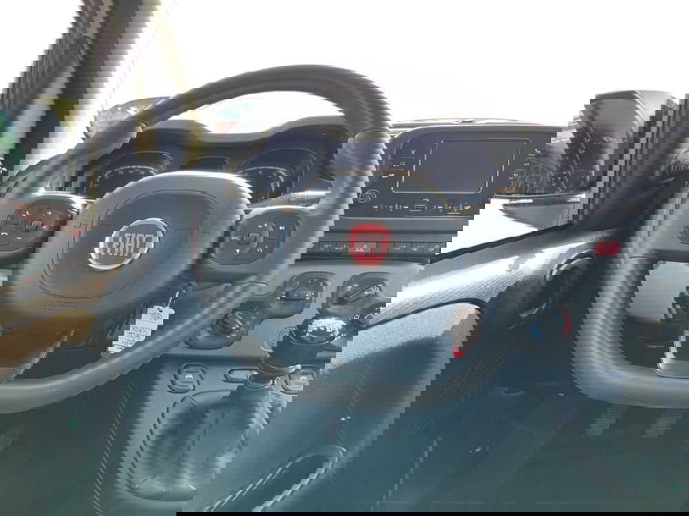 Fiat Panda Cross usata a Torino (11)