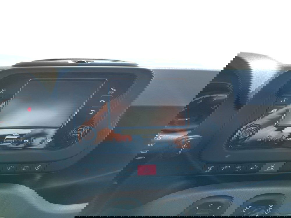 Fiat Panda Cross usata a Torino (13)