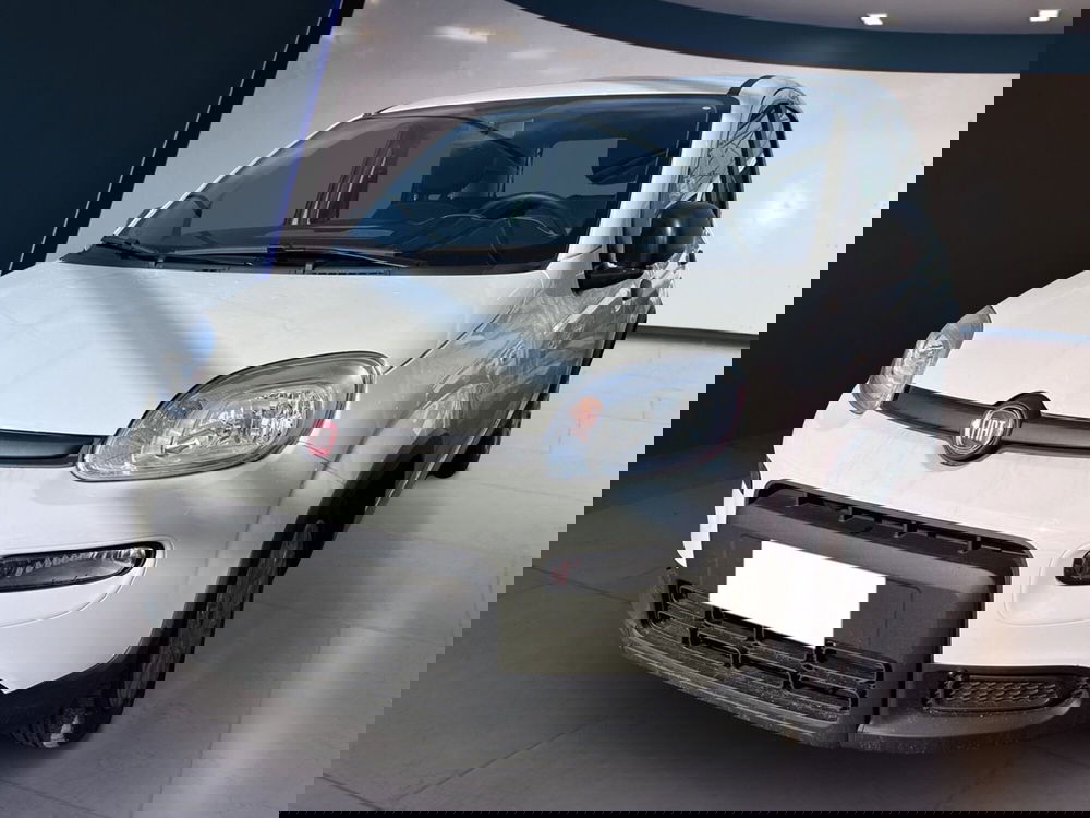 Fiat Panda Cross usata a Torino (3)