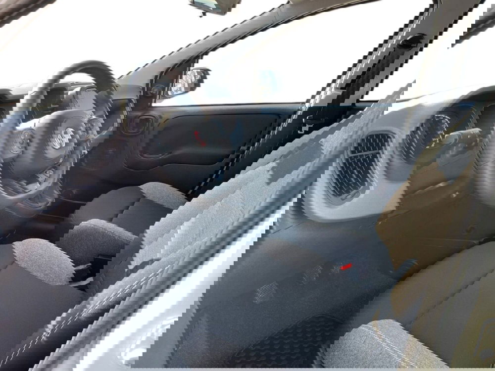 Fiat Panda Cross usata a Torino (9)