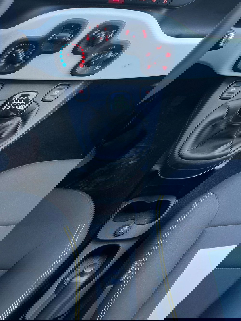 Fiat Panda Cross usata a Milano (19)