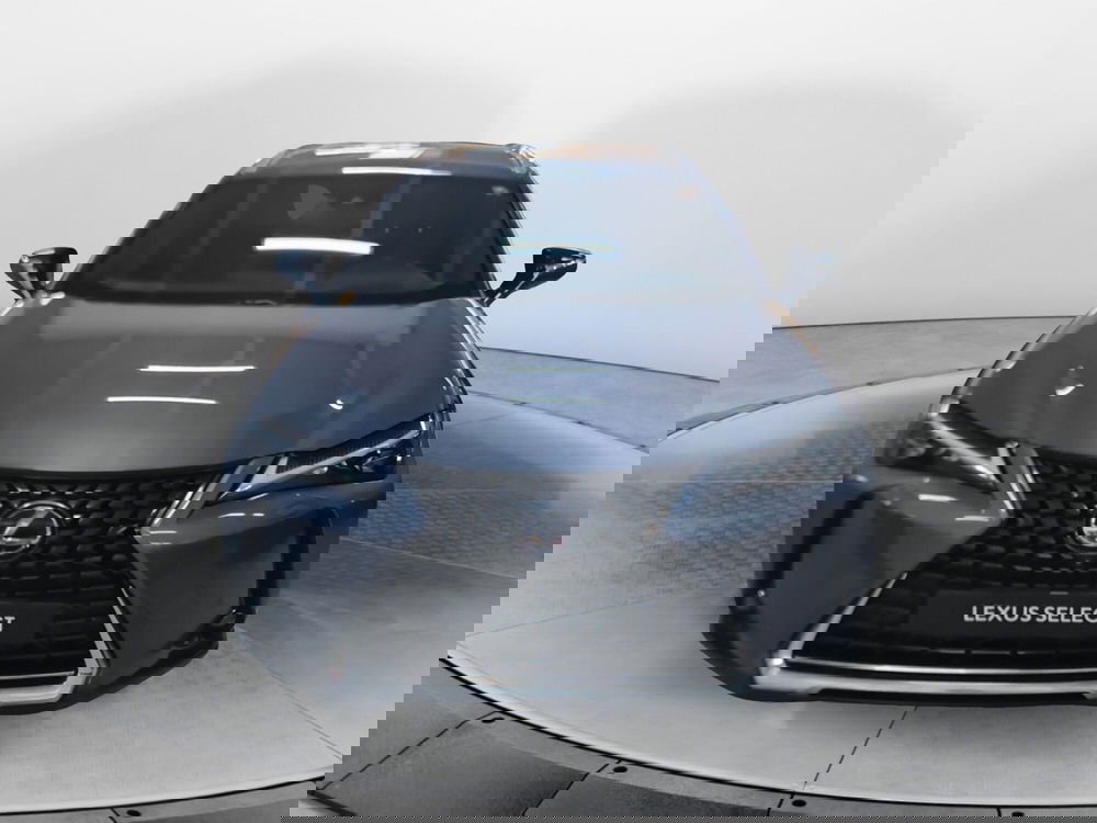 Lexus UX usata a Bologna (2)