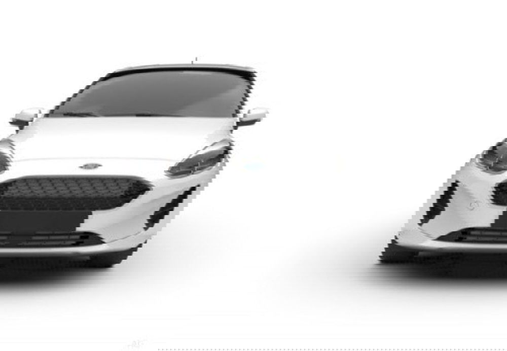 Ford Fiesta usata a Parma (11)