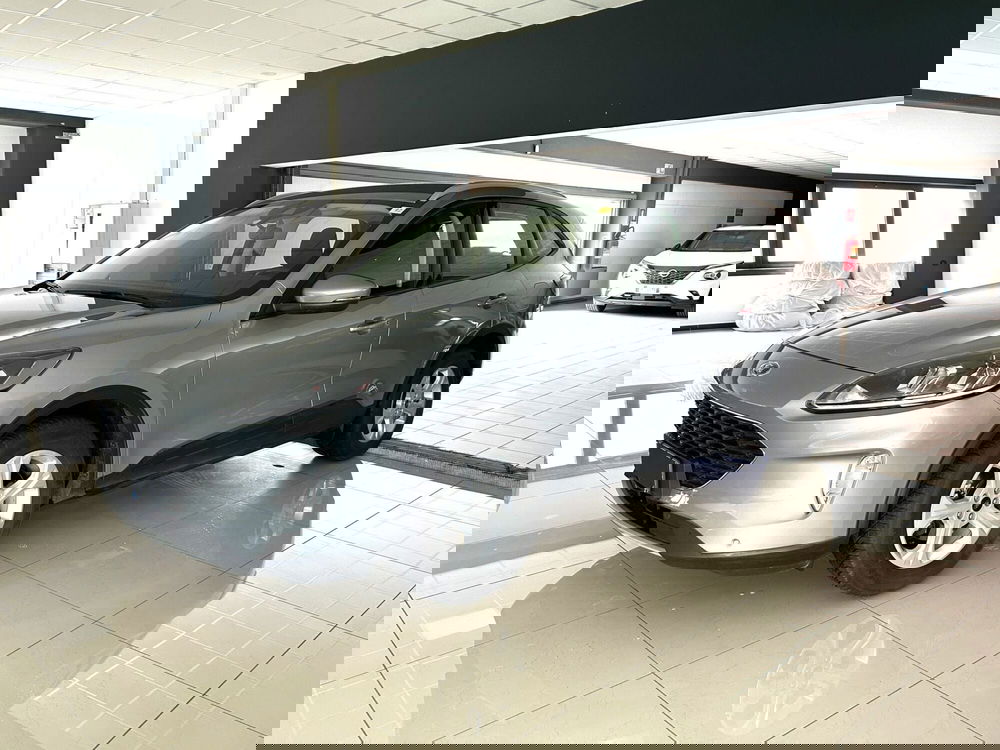 Ford Kuga usata a Ferrara