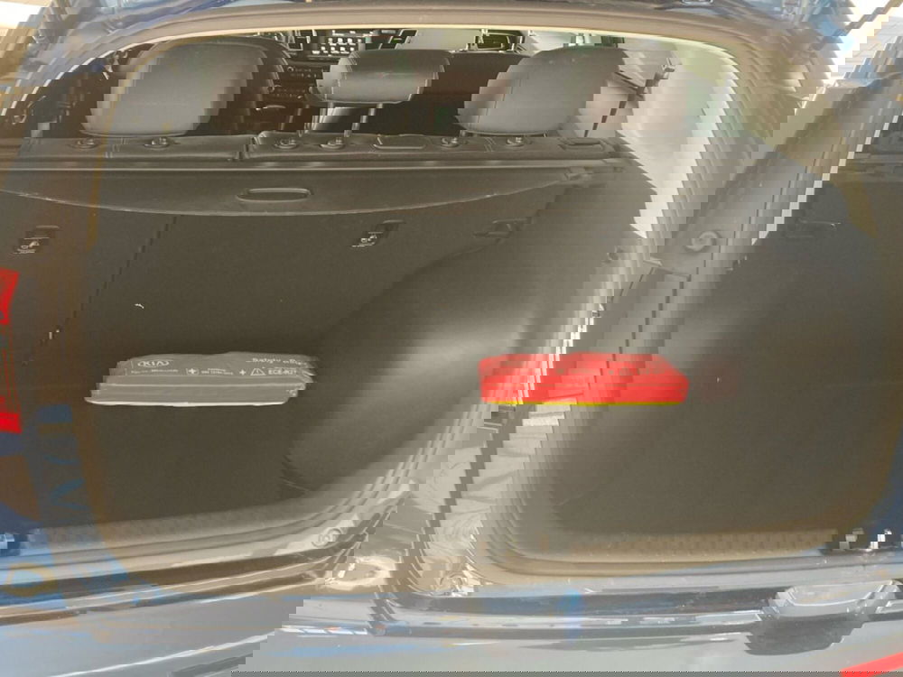Kia Niro usata a Torino (9)