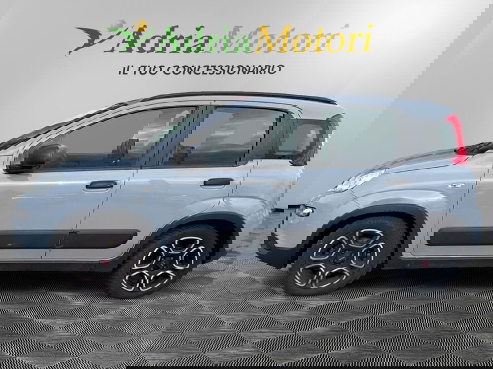 Fiat Panda usata a Pordenone (2)