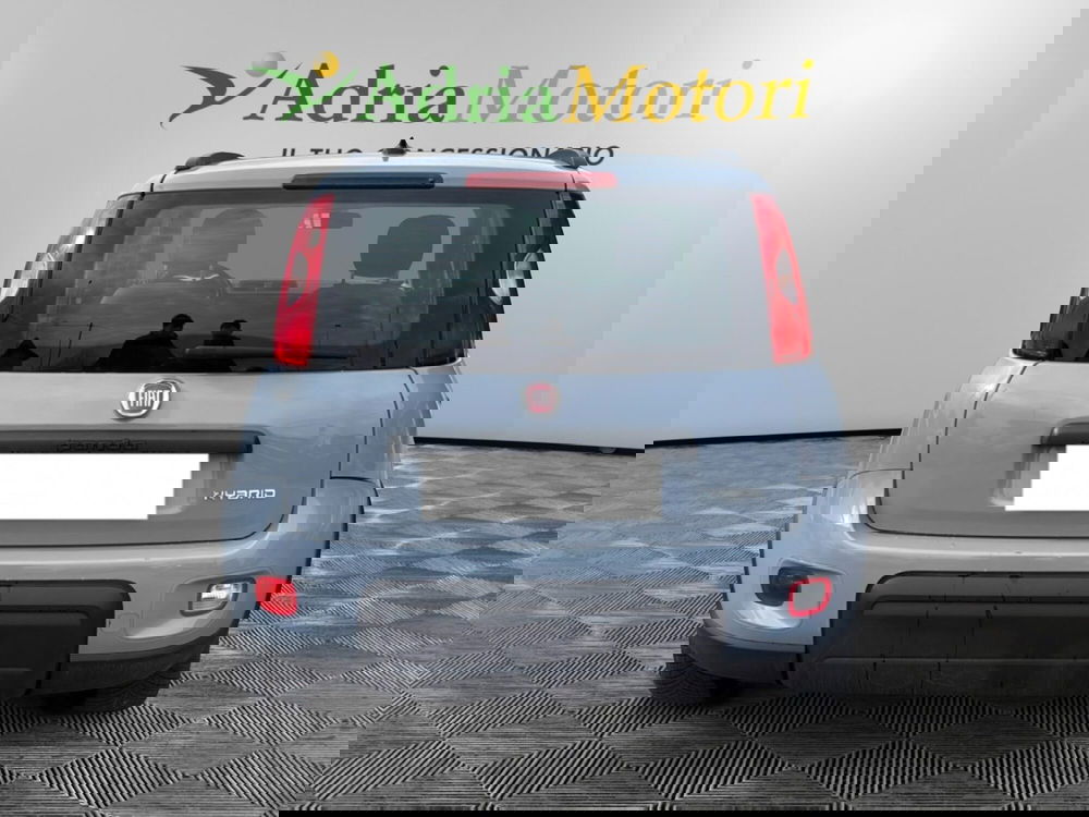 Fiat Panda usata a Pordenone (4)