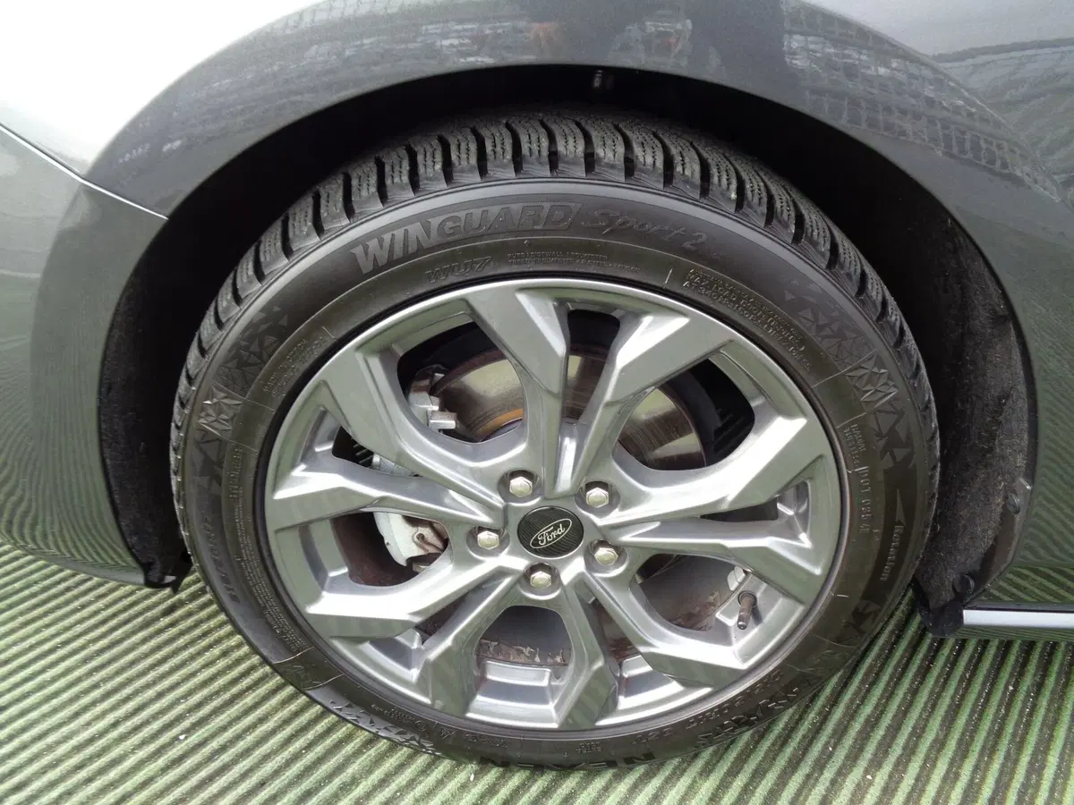 Ford Focus usata a Treviso (6)