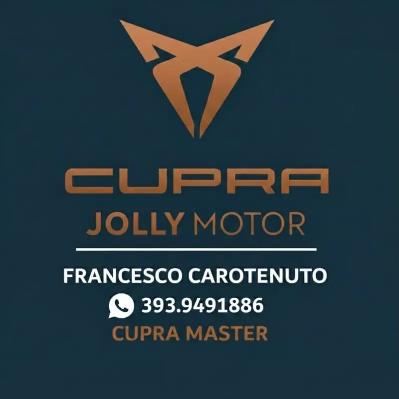 SEAT Ateca usata a Frosinone (2)
