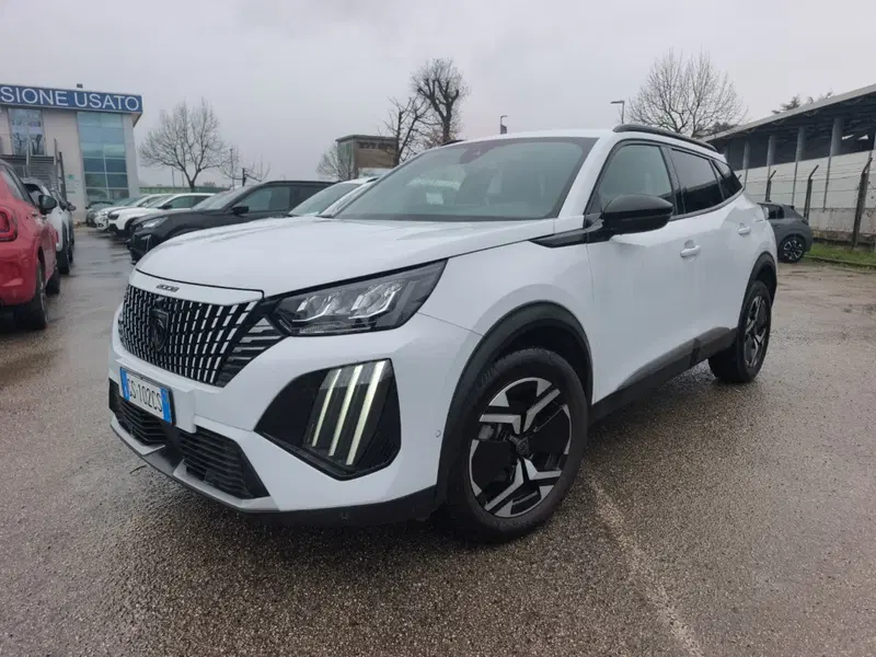 Peugeot 2008 usata a Frosinone (2)