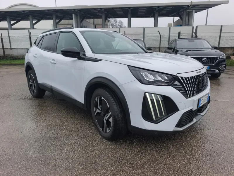 Peugeot 2008 usata a Frosinone (8)