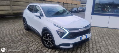Kia Sportage 1.6 TGDi MHEV Style del 2022 usata a Lucca