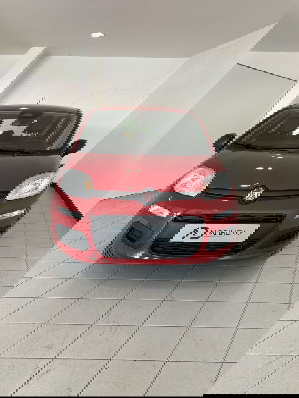 Fiat Panda Cross usata a Foggia