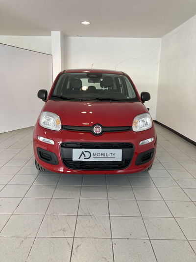 Fiat Panda Cross Cross 1.0 FireFly S&amp;S Hybrid del 2025 usata a San Severo