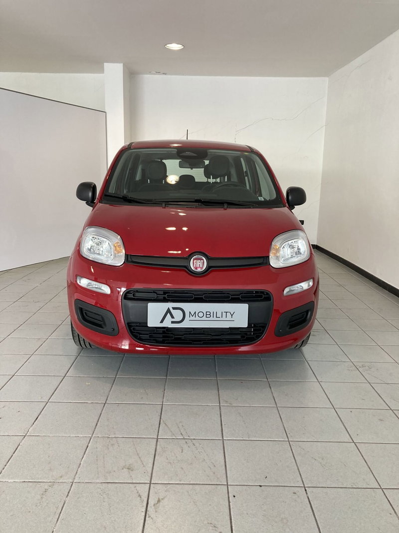 Fiat Panda Cross usata a Foggia