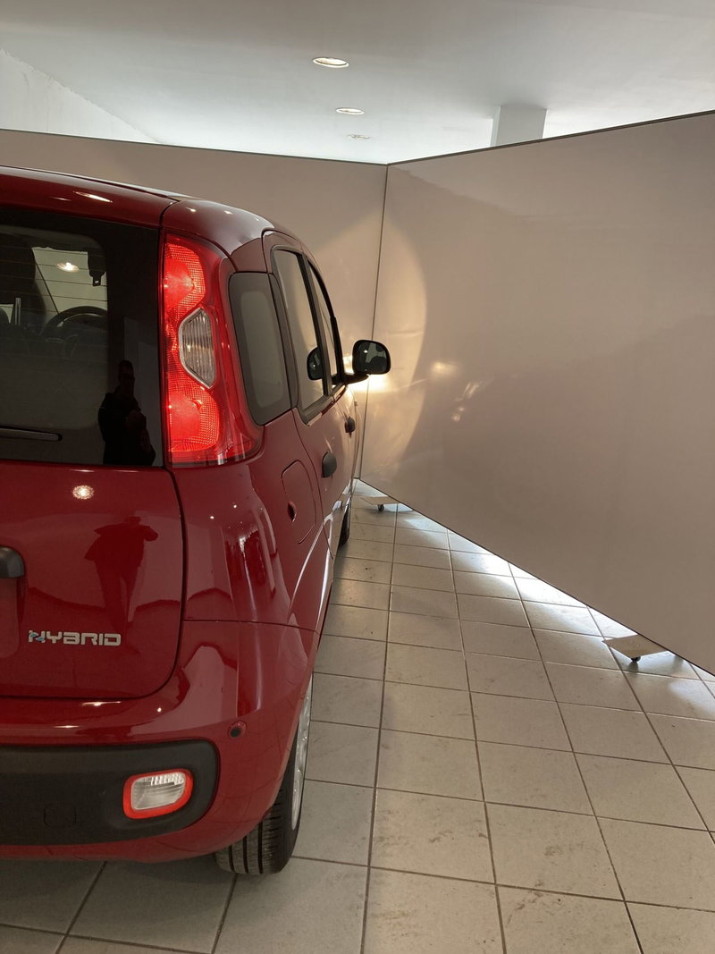 Fiat Panda Cross usata a Foggia (15)