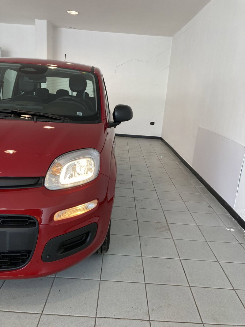 Fiat Panda Cross usata a Foggia (16)
