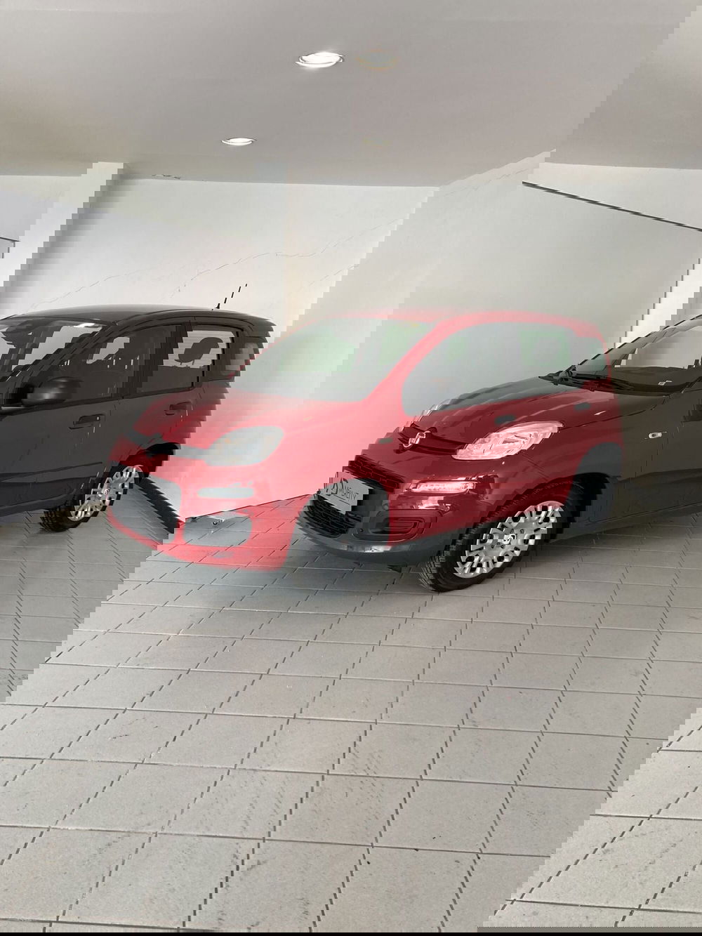 Fiat Panda Cross usata a Foggia (2)