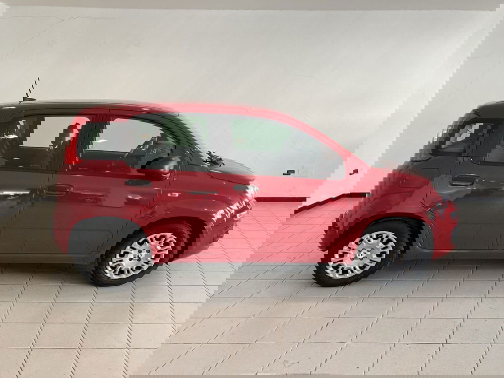 Fiat Panda Cross usata a Foggia (3)