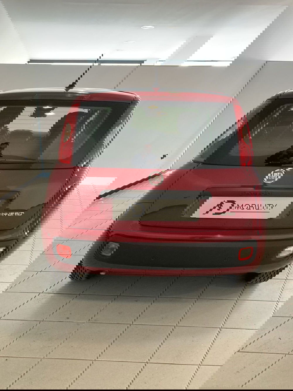 Fiat Panda Cross usata a Foggia (4)