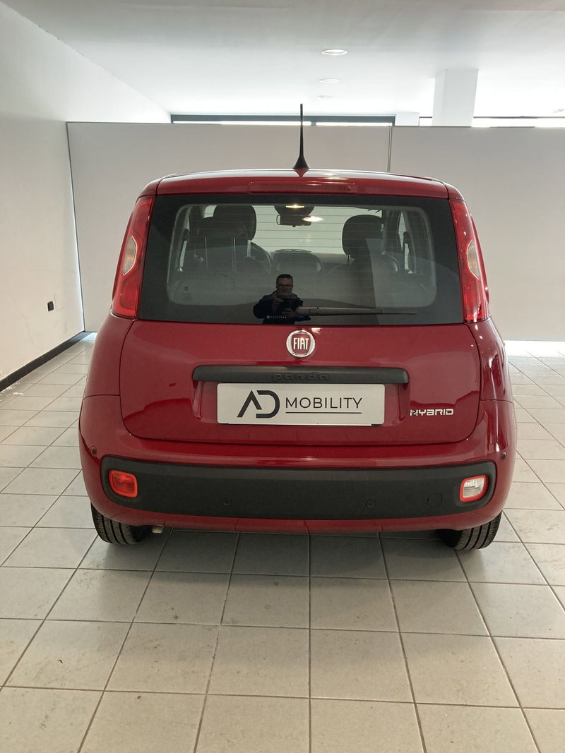 Fiat Panda Cross usata a Foggia (4)