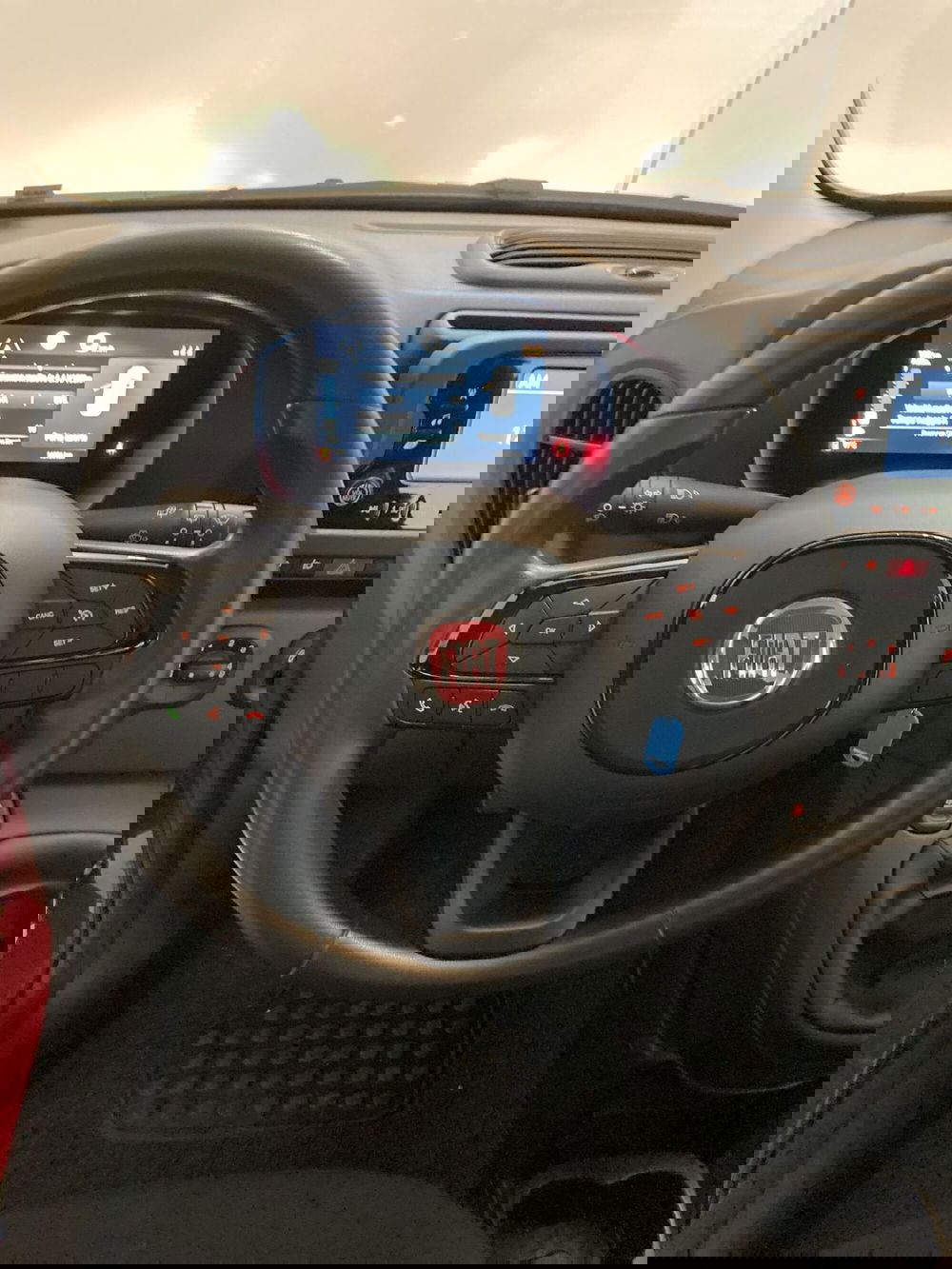 Fiat Panda Cross usata a Foggia (9)