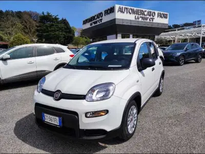 Fiat Panda Cross Cross 1.0 FireFly S&amp;S Hybrid nuova a Roma