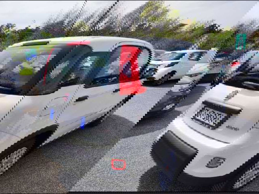 Fiat Panda Cross nuova a Roma (3)