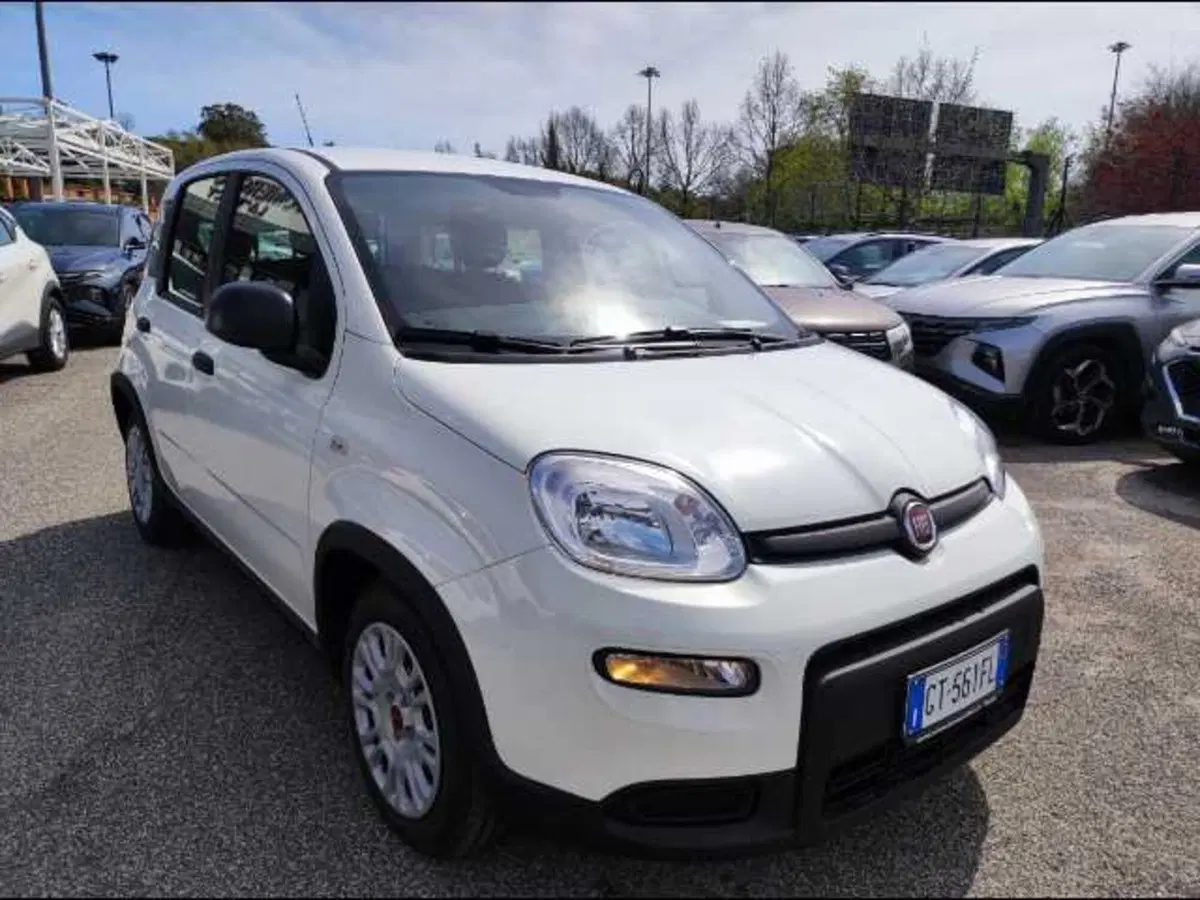 Fiat Panda Cross nuova a Roma (4)