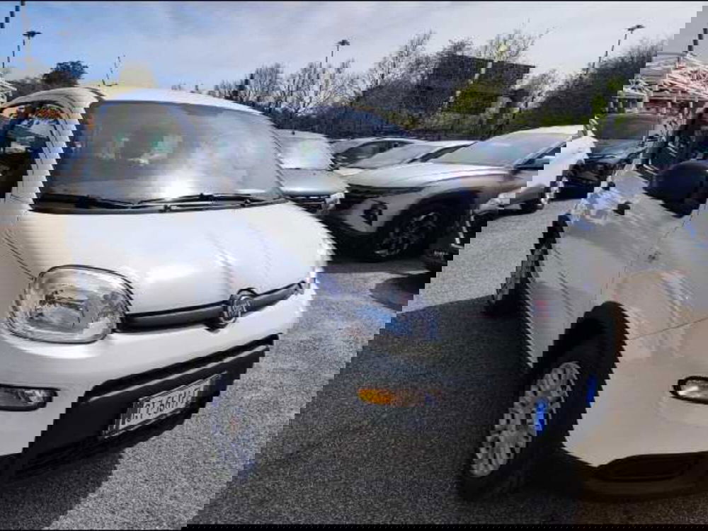 Fiat Panda Cross nuova a Roma (4)