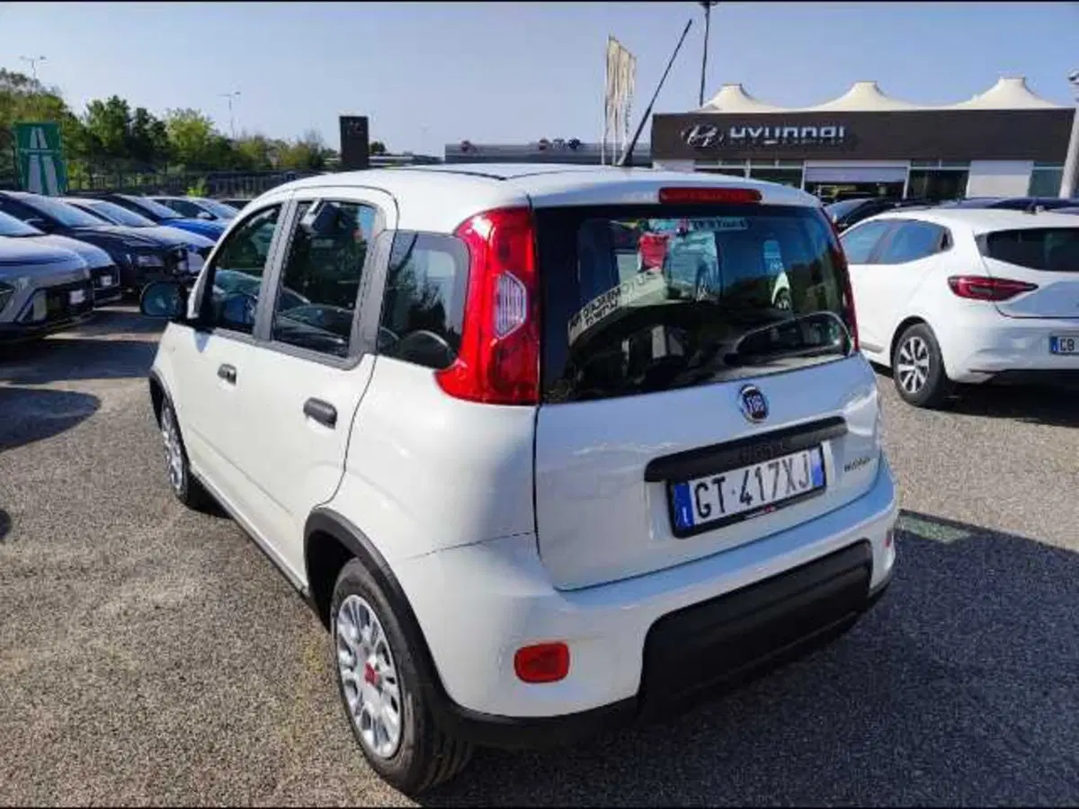 Fiat Panda Cross nuova a Roma (2)