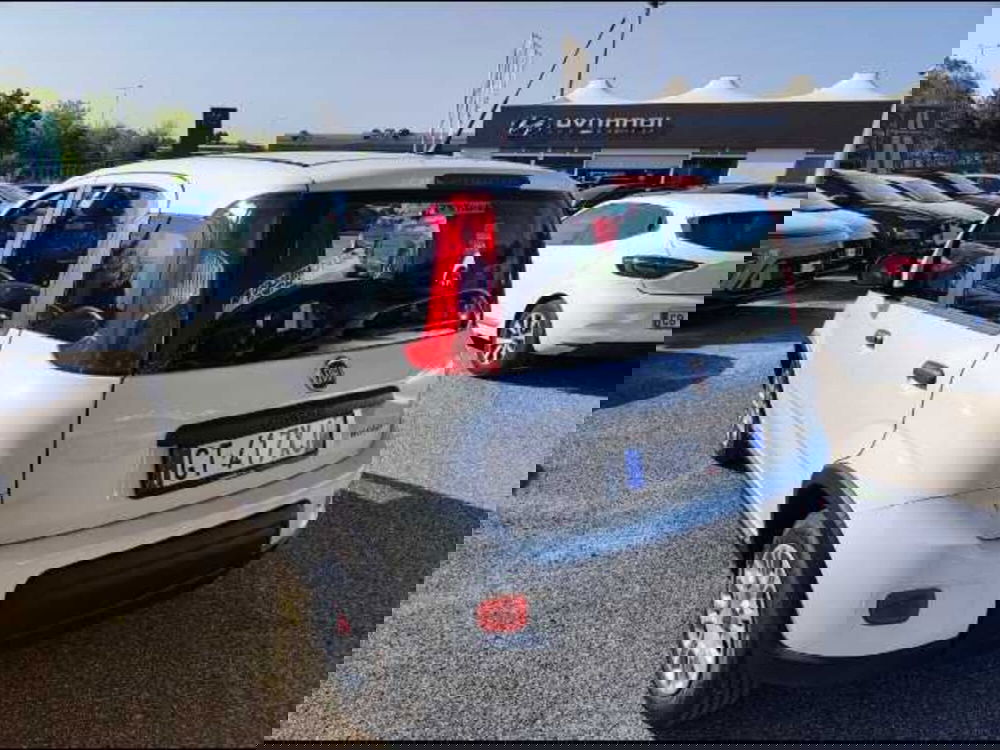 Fiat Panda Cross nuova a Roma (2)