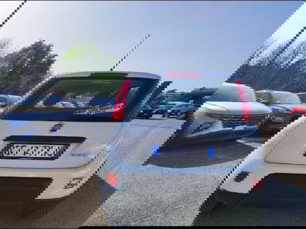 Fiat Panda Cross nuova a Roma (6)