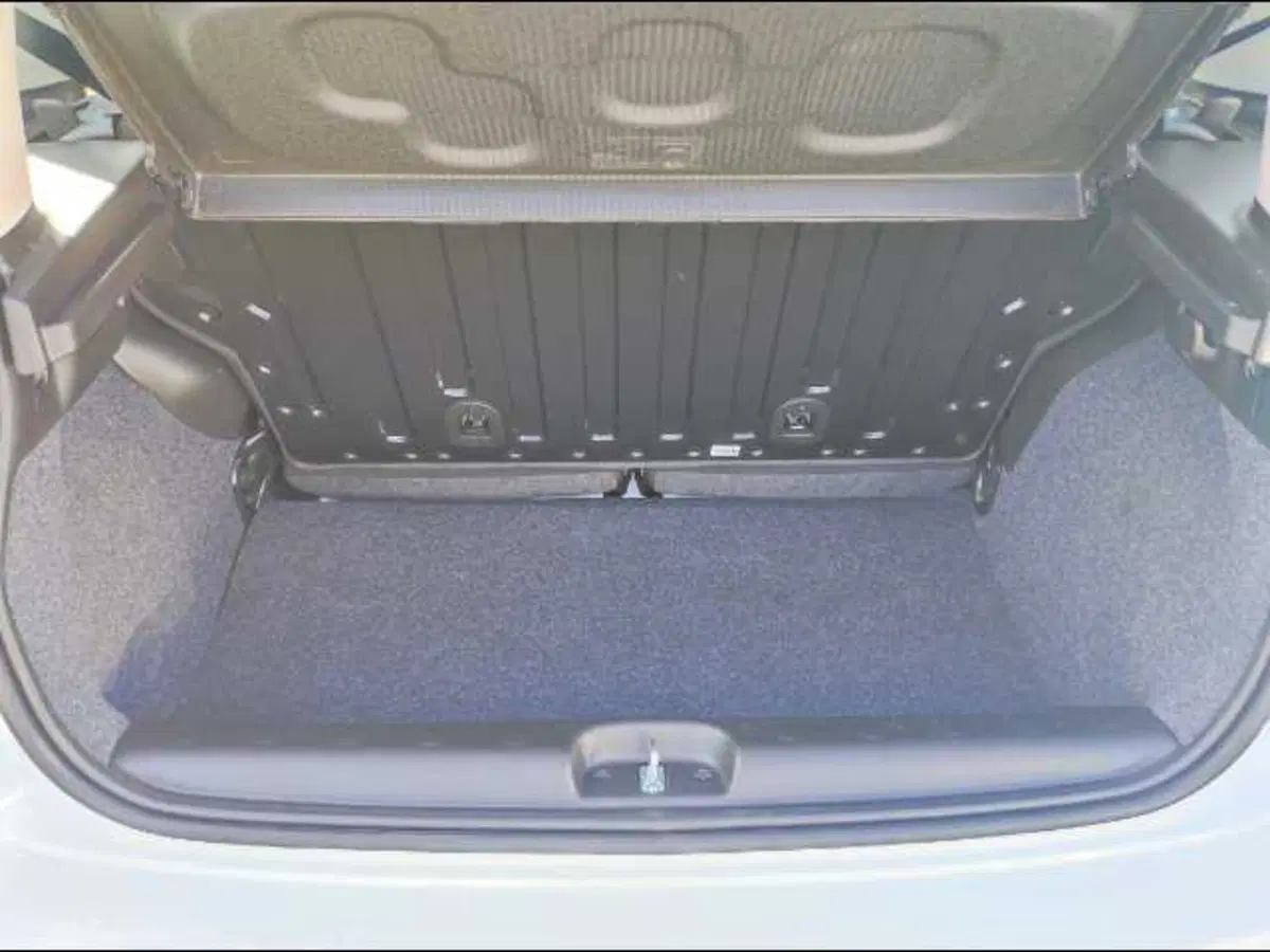 Fiat Panda Cross nuova a Roma (7)