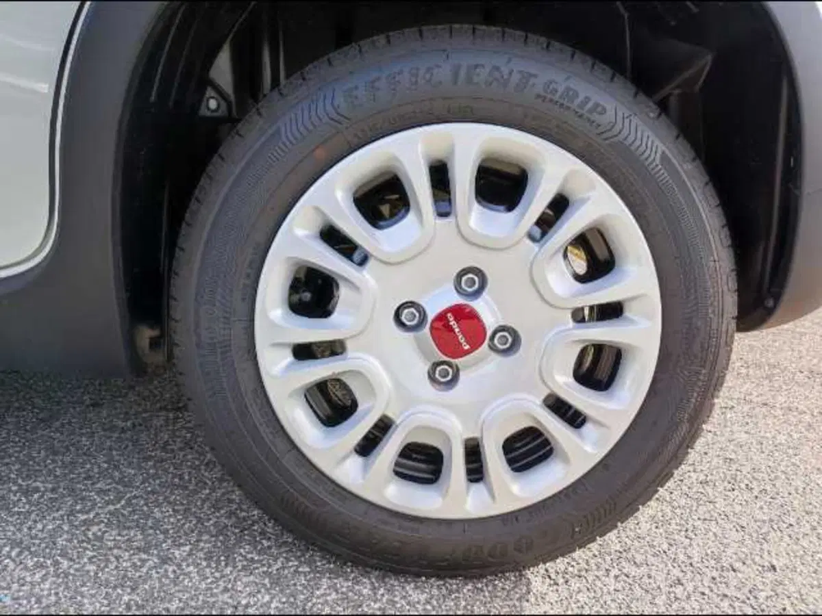 Fiat Panda Cross nuova a Roma (17)