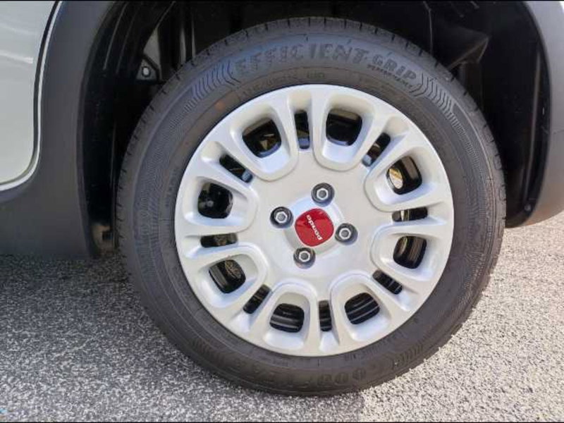 Fiat Panda Cross nuova a Roma (17)