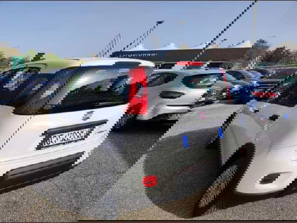 Fiat Panda Cross nuova a Roma (2)