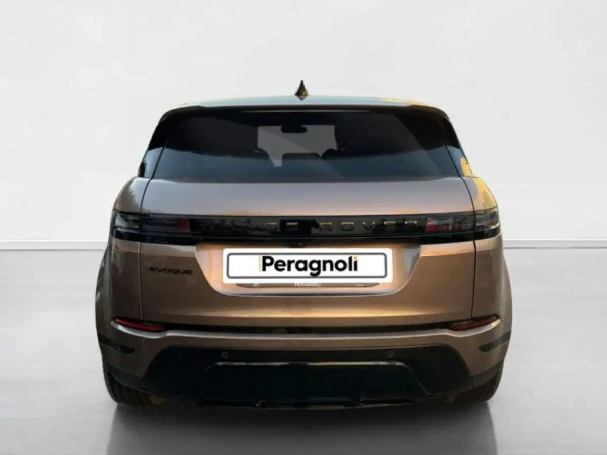 Land Rover Range Rover Evoque usata a Siena (7)