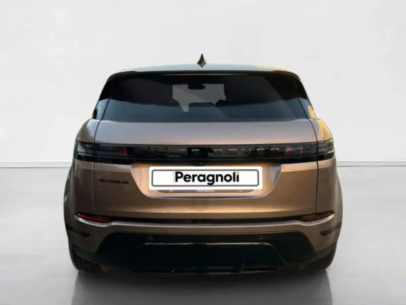 Land Rover Range Rover Evoque usata a Siena (7)
