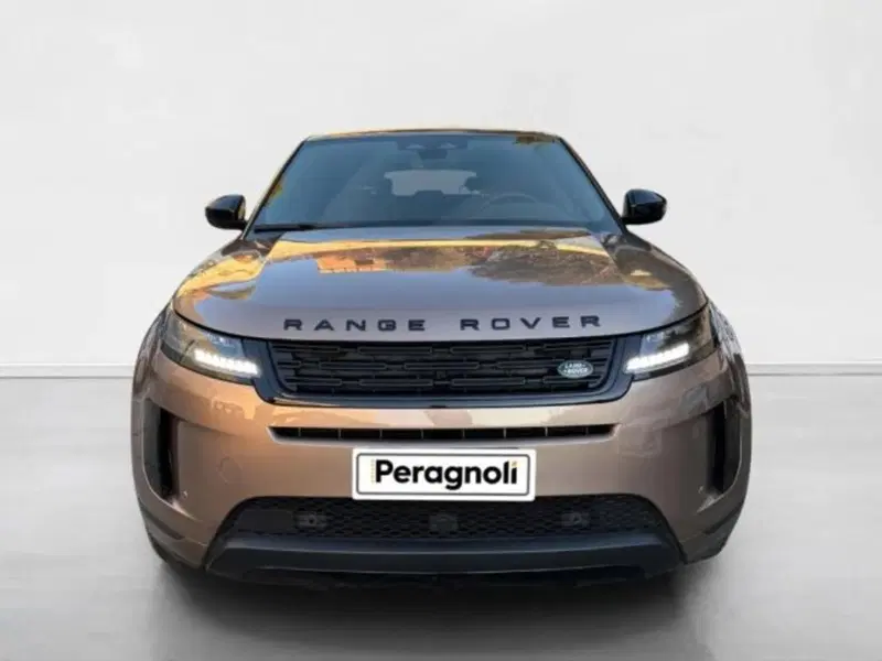 Land Rover Range Rover Evoque usata a Siena (8)